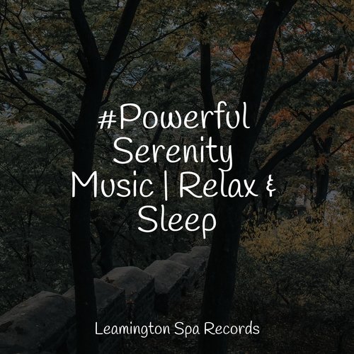 Sleep Music cover art