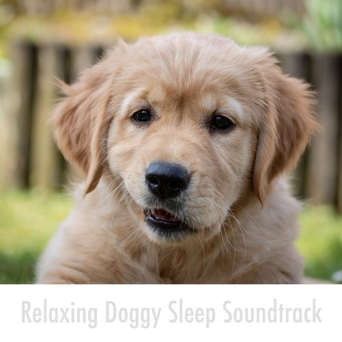 Dreamstate Pup Sleep cover art