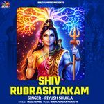 SHIV RUDRASHTAKAM