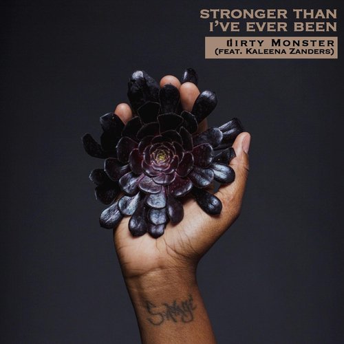 Stronger Than I've Ever Been (feat. Kaleena Zanders)_poster_image