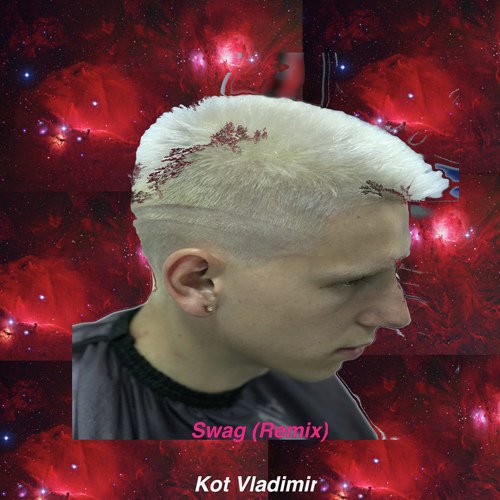 Kot Vladimir