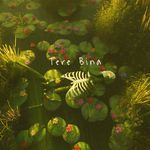 Tere Bina