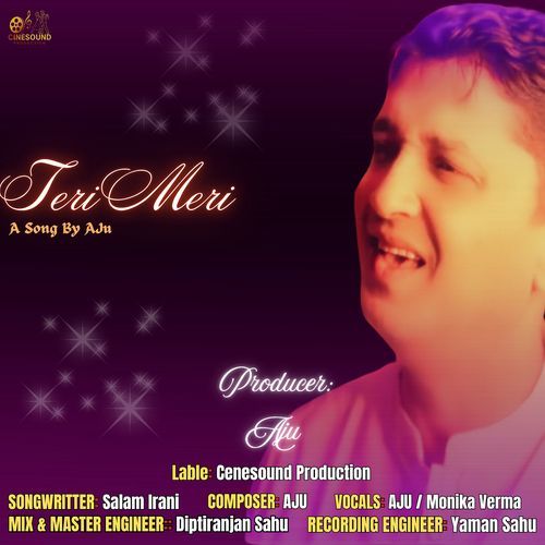 Teri Meri