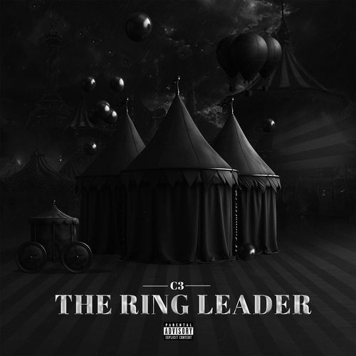 The Ring Leader_poster_image