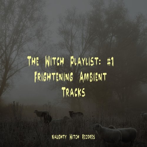 The Witch Playlist: #1 Frightening Ambient Tracks_poster_image