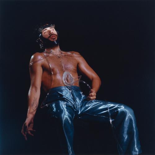 Lexoxo1000 cover art