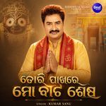 Tori Pakhare Mo Bata Sesha