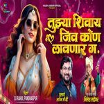 Tujhya Shivay Jiv Kon Lavnar Ga ( Dj Rahul Pandharpur)