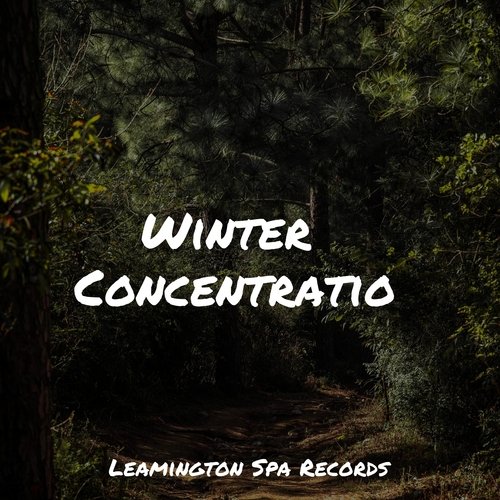 Winter Concentration_poster_image