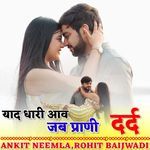 Yad Dhari Aav Jab Prani Dard
