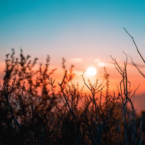 25 Sonidos de la Naturaleza Para Ayudar a la Relajación