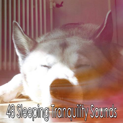 48 Sleeping Tranquility Sounds