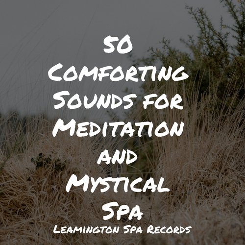 Meditating Music cover art