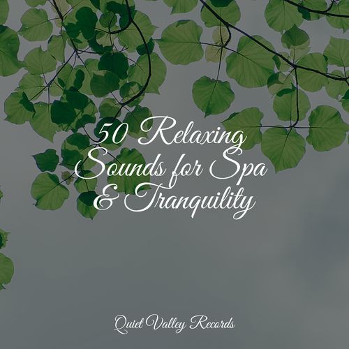 Sleep Music cover art