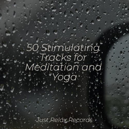 50 Stimulating Tracks for Meditation and Yoga