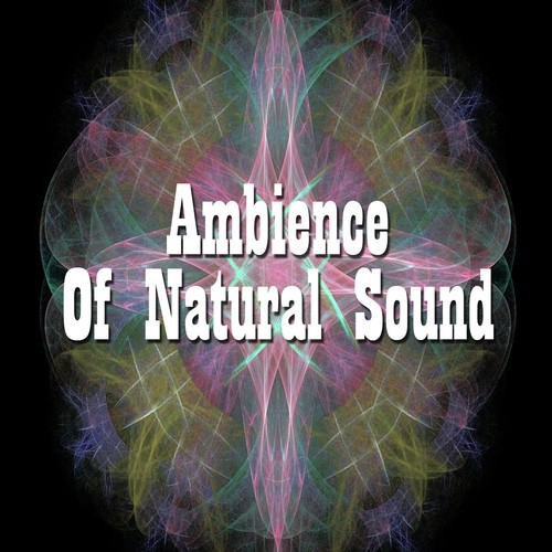 Ambience Of Natural Sound