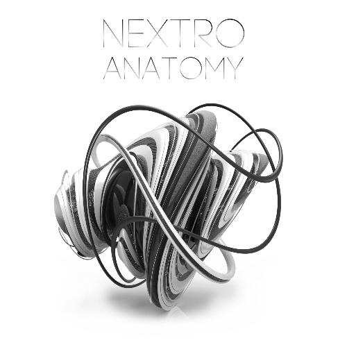 Anatomy