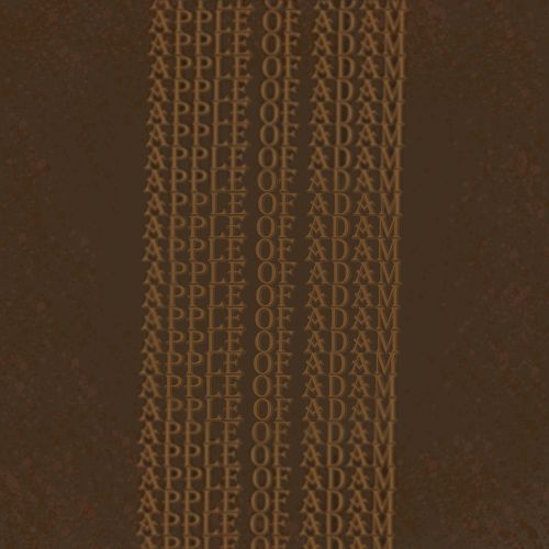 Donte Was Right, As I Rise Above My Body I Reflect cover art