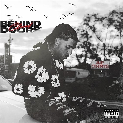 Vloner cover art
