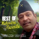 Bilakhi Bisona (Best Of Mahendra Hazarika)