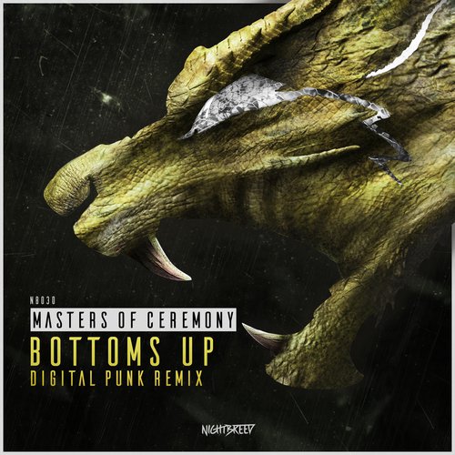 Bottoms Up (Digital Punk Remix - Radio Edit)