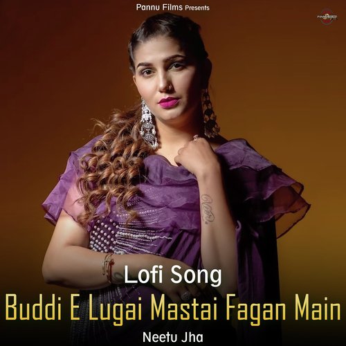 Buddi E Lugai Mastai Fagan Main - Lofi Song