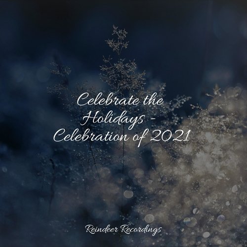 Celebrate the Holidays - Celebration of 2021