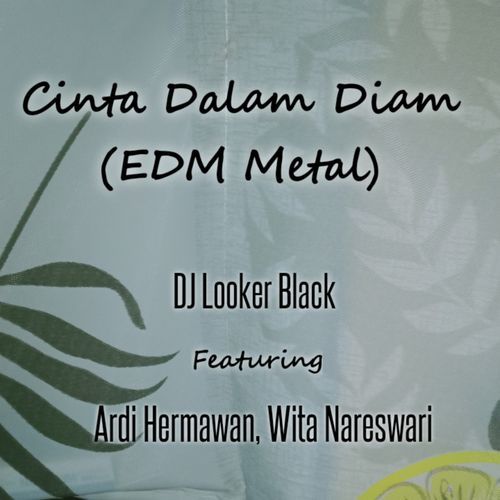 Cinta Dalam Diam (EDM Metal)_poster_image