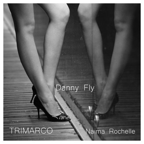 Danny Fly cover art