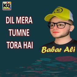 Dil Mera Tumne Tora Hai-IS0ld0d6TVE