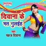 Diwana Ke Mat Bhulaiha