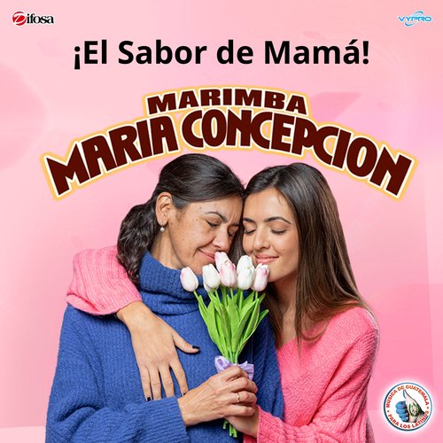 Mix Cumbias Alegres: María Elena / Teresita / Abeja Miope cover art