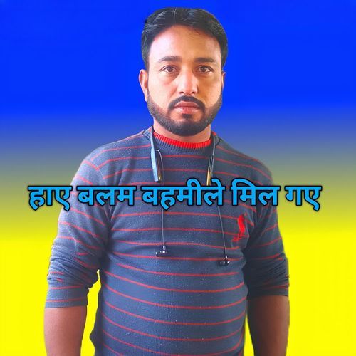 Hay balam bahamile mil Gaye