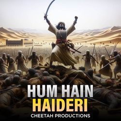 Hum Hain Haideri