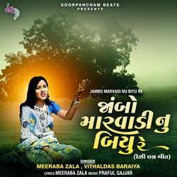 Jambo Marvadi Nu Biyu Re