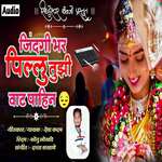 Jindagi Bhar Pillu Tuzi Vaat Pahin