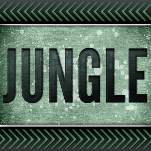 Jungle (A Tribute to Jamie N Commons and X Ambassadors and Jay Z)