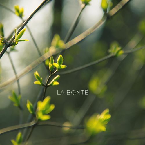 La Bonté