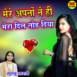 Mere Apno Ne Hi Mera Dil Tod Diya-NR8HRTBoWEY