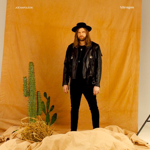 Les palmiers artificiels cover art