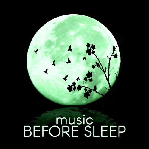 Music Before Sleep - Music and Sounds of Nature for Deep Sleep, Relaxing Sounds and Long Sleeping Songs to Help You Relax at Night, Massage Therapy & Relaxation