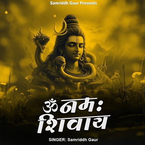 Om Namah Shivaya