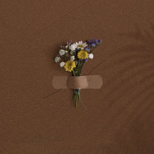 Peleja cover art