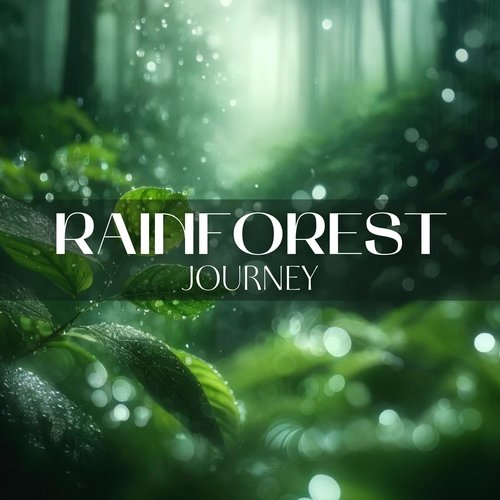 Rainforest Journey