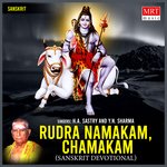 Rudra Namakam