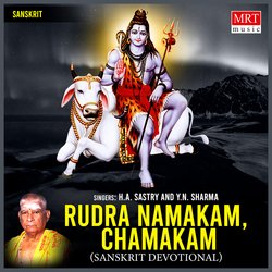 Rudra Namakam-G1k7XSJ1ZkU