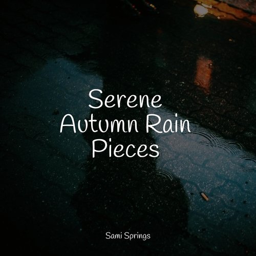 Rain, Storm and Thunder cover art