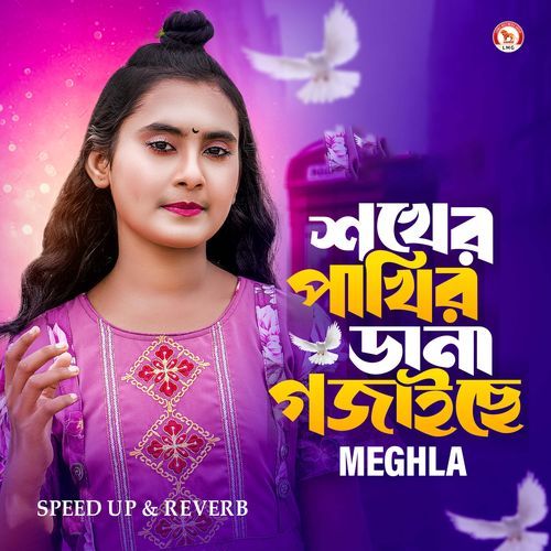 Shokher Pakhir Dana Gojaiche (Speed up & Reverb)