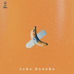 Sobo Bonobo
