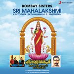 Sri Mahalakshmi Ashtothra Sathanaamam & Sthothiram